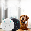 Waterproof Smart Mini Pet Tracker Collar - Clicky Pet