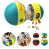 Leaky Tumbler Dog Food Ball Toy - Clicky Pet