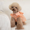 Pet Bowknot Summer Dress - Clicky Pet